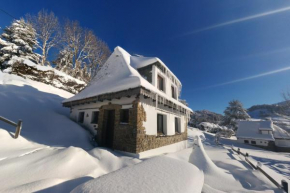 Chalet avec vue panoramique sur le Plomb du Cantal